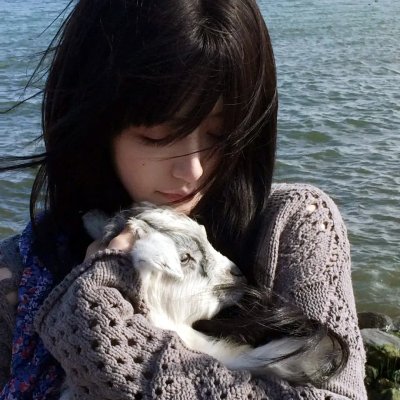 有招没招之爱情达人海报